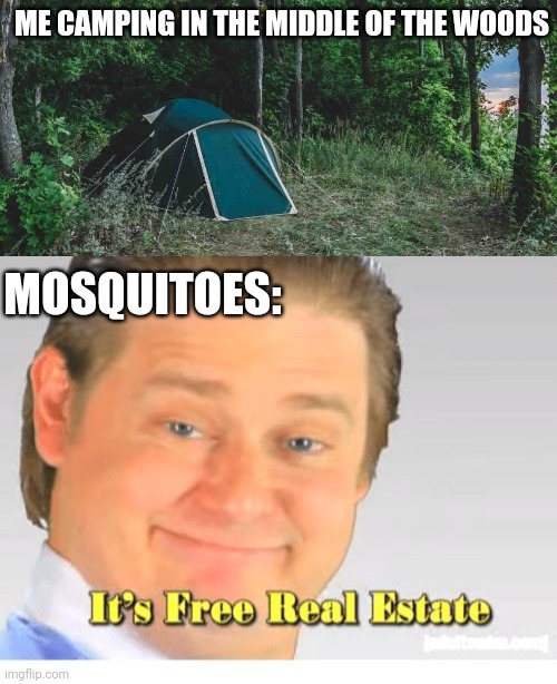I'M IN THEIR TERRITORY NOW | ME CAMPING IN THE MIDDLE OF THE WOODS; MOSQUITOES: | image tagged in it's free real estate,mosquitoes,camping,tent,campfire | made w/ Imgflip meme maker