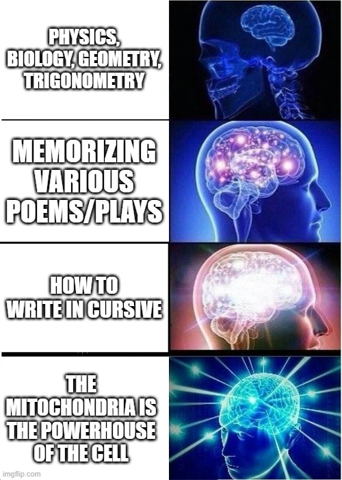 School's Priority of Teaching Children Things | PHYSICS, BIOLOGY, GEOMETRY, TRIGONOMETRY; MEMORIZING VARIOUS POEMS/PLAYS; HOW TO WRITE IN CURSIVE; THE MITOCHONDRIA IS THE POWERHOUSE OF THE CELL | image tagged in memes,expanding brain,useless stuff,school | made w/ Imgflip meme maker