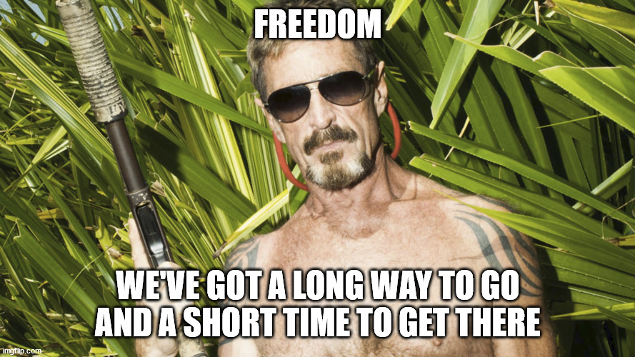 a long way to go | FREEDOM; WE'VE GOT A LONG WAY TO GO AND A SHORT TIME TO GET THERE | image tagged in john mcafee didn't kill himself,freedom,government corruption | made w/ Imgflip meme maker