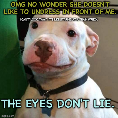 What the Dog Really Thinks | OMG NO WONDER SHE DOESN'T LIKE TO UNDRESS IN FRONT OF ME. I CAN'T LOOK AWAY. IT'S LIKE STARING AT A TRAIN WRECK. THE EYES DON'T LIE. | image tagged in im like mehe,dogstare | made w/ Imgflip meme maker