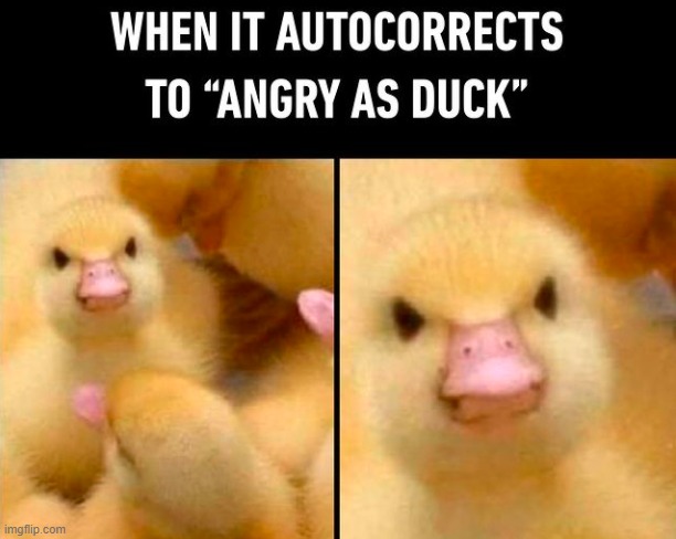 . | made w/ Imgflip meme maker