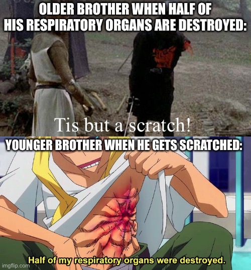 The daring original and the annoying sequel | OLDER BROTHER WHEN HALF OF HIS RESPIRATORY ORGANS ARE DESTROYED:; Tis but a scratch! YOUNGER BROTHER WHEN HE GETS SCRATCHED: | image tagged in tis but a scratch,half of my respiratory organs were destroyed | made w/ Imgflip meme maker