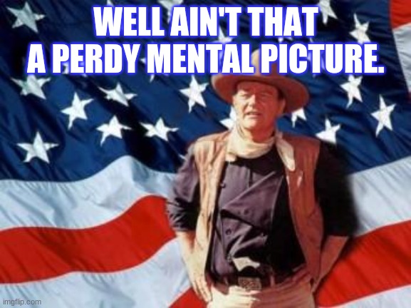 John Wayne American Flag | WELL AIN'T THAT A PERDY MENTAL PICTURE. | image tagged in john wayne american flag | made w/ Imgflip meme maker