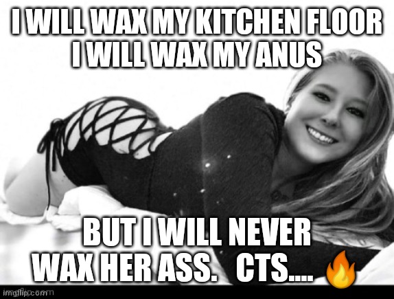 I WILL WAX MY KITCHEN FLOOR
I WILL WAX MY ANUS; BUT I WILL NEVER WAX HER ASS.   CTS.... 🔥 | image tagged in hot girl | made w/ Imgflip meme maker
