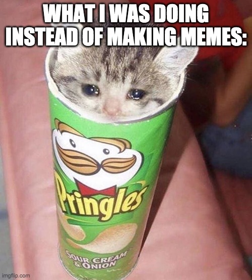 Yes that's what i was doing. (follow Honey_Nugget on imgflip) | WHAT I WAS DOING INSTEAD OF MAKING MEMES: | image tagged in sad pringles cat,sad cat,pringles | made w/ Imgflip meme maker