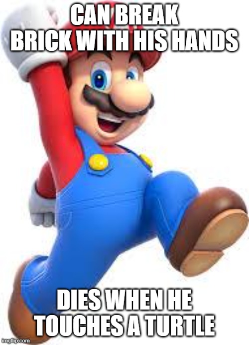 mario | CAN BREAK BRICK WITH HIS HANDS DIES WHEN HE TOUCHES A TURTLE | image tagged in mario | made w/ Imgflip meme maker