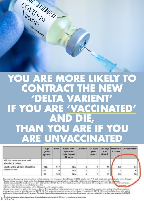 Buckle up, it's just the beginning | YOU ARE MORE LIKELY TO
CONTRACT THE NEW
‘DELTA VARIENT’
IF YOU ARE ‘VACCINATED’
AND DIE,
THAN YOU ARE IF YOU
ARE UNVACCINATED; ______________; ________________ | image tagged in covid vaccine,covid | made w/ Imgflip meme maker