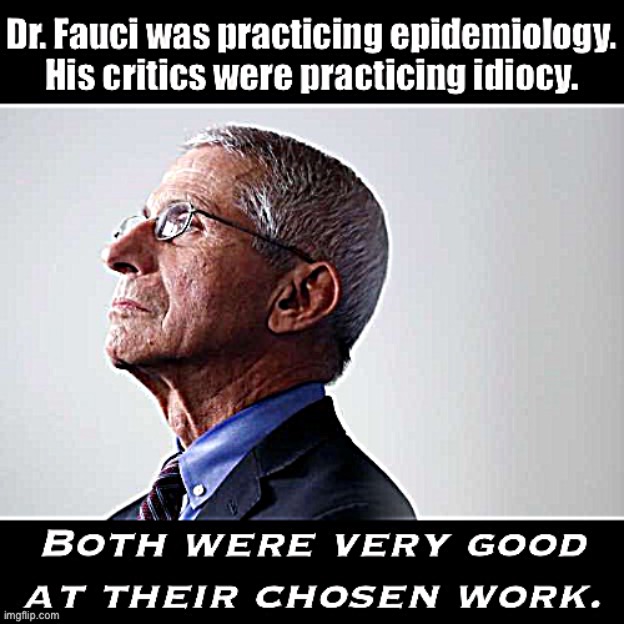 Eyyyy Fauci | image tagged in dr fauci critics idiots | made w/ Imgflip meme maker