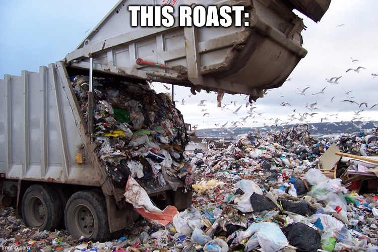 garbage dump | THIS ROAST: | image tagged in garbage dump | made w/ Imgflip meme maker