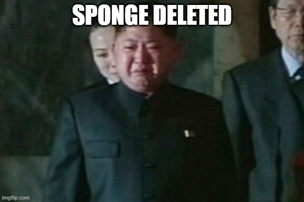 Kim Jong Un Sad Meme | SPONGE DELETED | image tagged in memes,kim jong un sad | made w/ Imgflip meme maker
