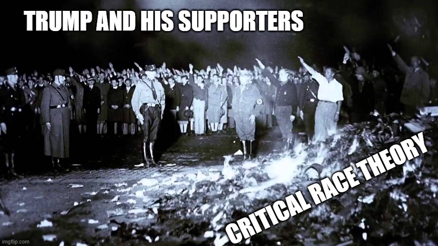 The Nazis stormed their capitol too - too many similarities today for my tastes or any real Americans. | TRUMP AND HIS SUPPORTERS; CRITICAL RACE THEORY | image tagged in memes,politics,facism,racism,maga | made w/ Imgflip meme maker