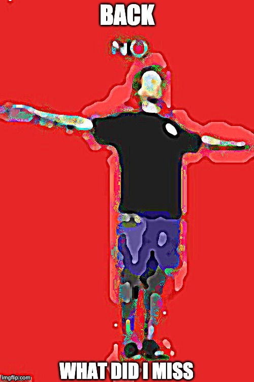 BACK; WHAT DID I MISS | image tagged in yub no more cursed | made w/ Imgflip meme maker