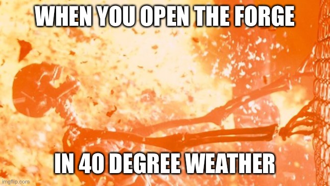 Heatwave | WHEN YOU OPEN THE FORGE; IN 40 DEGREE WEATHER | image tagged in heatwave | made w/ Imgflip meme maker