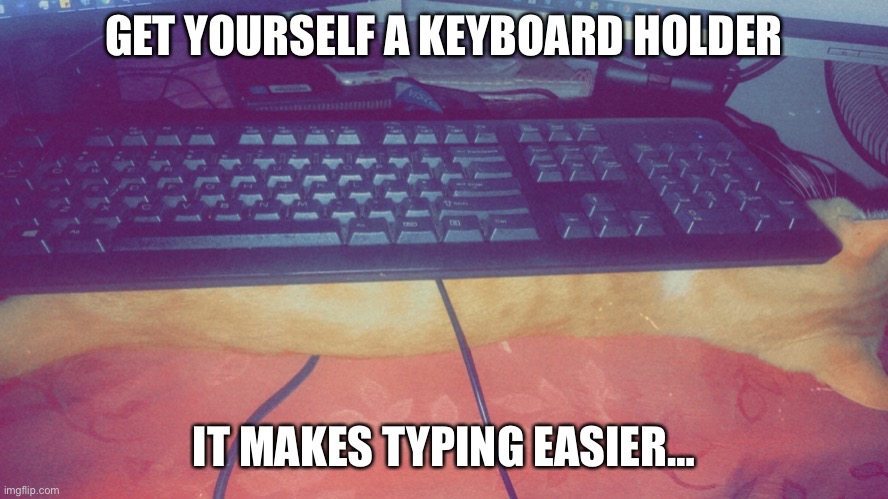 Keyboard holder | GET YOURSELF A KEYBOARD HOLDER; IT MAKES TYPING EASIER… | image tagged in cat,funny,cat memes,cute cat,jamaican | made w/ Imgflip meme maker