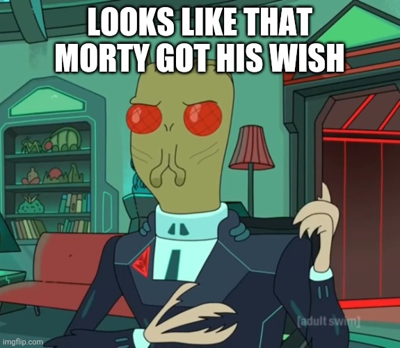 Milf pron has changed a lot from back in my day | LOOKS LIKE THAT MORTY GOT HIS WISH | image tagged in for money rick and morty,milf,porn,rick and morty,wish,picard wtf and facepalm combined | made w/ Imgflip meme maker