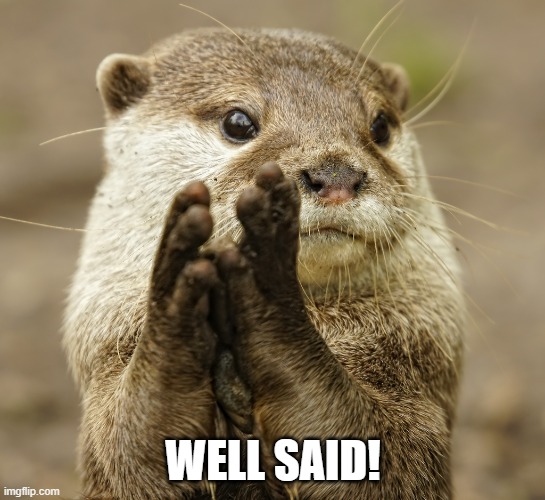 Squirrel Applause | WELL SAID! | image tagged in squirrel applause | made w/ Imgflip meme maker