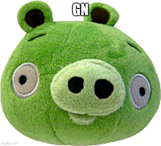 Bad Piggie plush | GN | image tagged in bad piggie plush | made w/ Imgflip meme maker