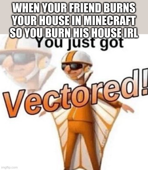 mightve done this a couple times | WHEN YOUR FRIEND BURNS YOUR HOUSE IN MINECRAFT SO YOU BURN HIS HOUSE IRL | image tagged in you just got vectored | made w/ Imgflip meme maker