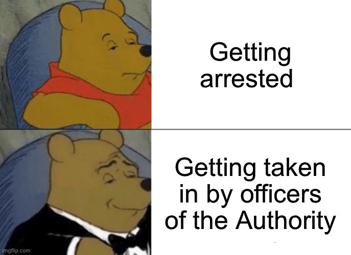 Tuxedo Winnie The Pooh | Getting arrested; Getting taken in by officers of the Authority | image tagged in memes,tuxedo winnie the pooh | made w/ Imgflip meme maker