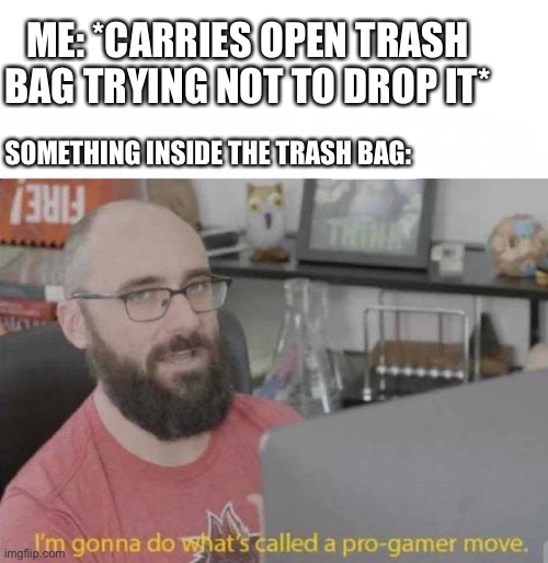 Pro Gamer move | ME: *CARRIES OPEN TRASH BAG TRYING NOT TO DROP IT*; SOMETHING INSIDE THE TRASH BAG: | image tagged in pro gamer move | made w/ Imgflip meme maker