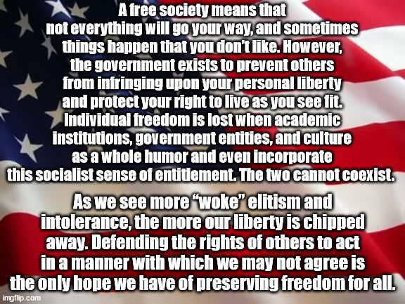 Defending the rights of others to act in a manner with which we may not agree is the only hope we have of preserving freedom for | A free society means that not everything will go your way, and sometimes things happen that you don’t like. However, the government exists to prevent others from infringing upon your personal liberty and protect your right to live as you see fit. Individual freedom is lost when academic institutions, government entities, and culture as a whole humor and even incorporate this socialist sense of entitlement. The two cannot coexist. As we see more “woke” elitism and intolerance, the more our liberty is chipped away. Defending the rights of others to act in a manner with which we may not agree is the only hope we have of preserving freedom for all. | image tagged in american flag | made w/ Imgflip meme maker