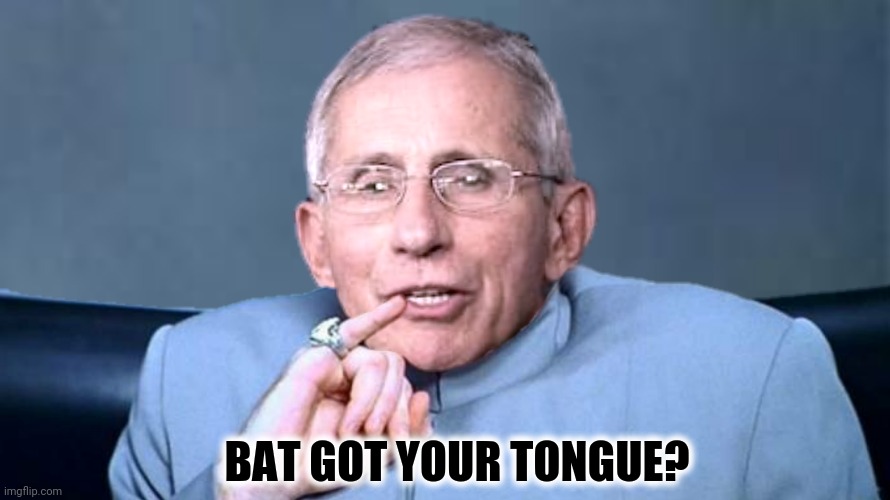 BAT GOT YOUR TONGUE? | made w/ Imgflip meme maker