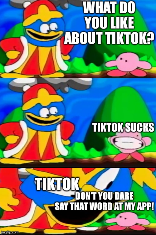 Tiktok doesn’t like haters of it | WHAT DO YOU LIKE ABOUT TIKTOK? TIKTOK SUCKS; TIKTOK; DON’T YOU DARE SAY THAT WORD AT MY APP! | image tagged in memes,tiktok sucks,kirby | made w/ Imgflip meme maker