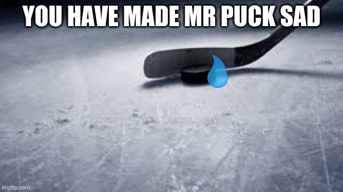 hockey | YOU HAVE MADE MR PUCK SAD | image tagged in hockey | made w/ Imgflip meme maker