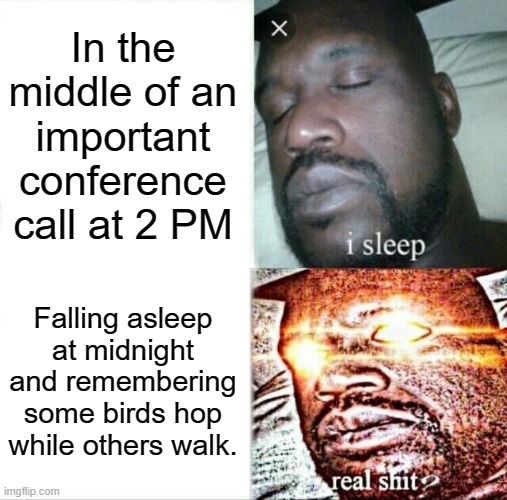 Truth. | In the middle of an important conference call at 2 PM; Falling asleep at midnight and remembering some birds hop while others walk. | image tagged in memes,sleeping shaq,insomnia | made w/ Imgflip meme maker