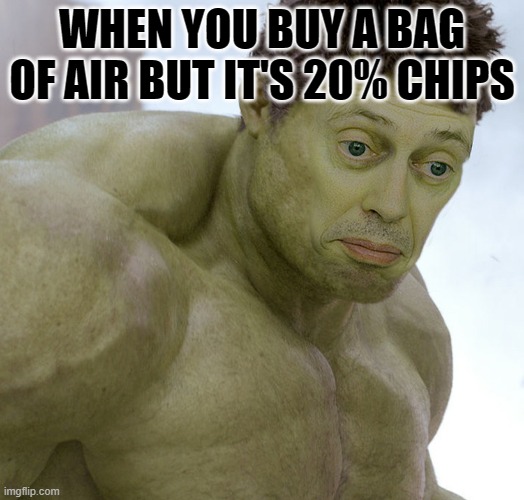 shoutout to poland... dunno why | WHEN YOU BUY A BAG OF AIR BUT IT'S 20% CHIPS | image tagged in memes,funny | made w/ Imgflip meme maker