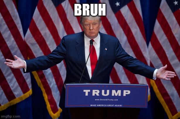 Donald Trump | BRUH | image tagged in donald trump | made w/ Imgflip meme maker