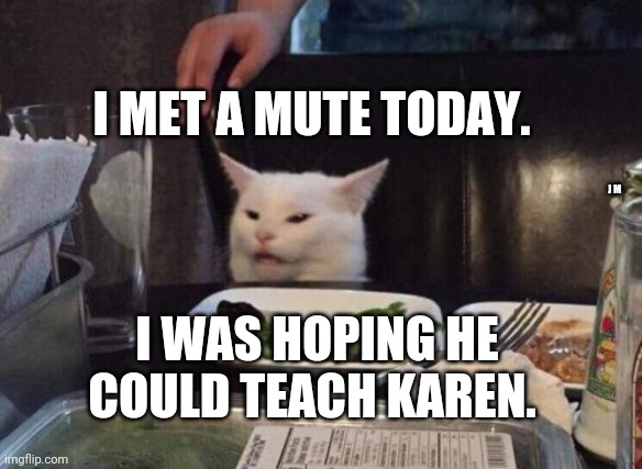 Salad cat | I MET A MUTE TODAY. J M; I WAS HOPING HE COULD TEACH KAREN. | image tagged in salad cat | made w/ Imgflip meme maker