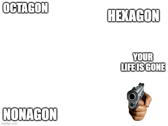 your life is gone | HEXAGON; OCTAGON; YOUR LIFE IS GONE; NONAGON | image tagged in blank white template | made w/ Imgflip meme maker