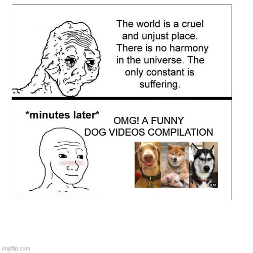 hehe | OMG! A FUNNY DOG VIDEOS COMPILATION | image tagged in blank white template | made w/ Imgflip meme maker