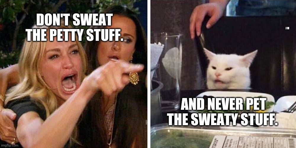 Smudge the cat | DON'T SWEAT THE PETTY STUFF. J M; AND NEVER PET THE SWEATY STUFF. | image tagged in smudge the cat | made w/ Imgflip meme maker