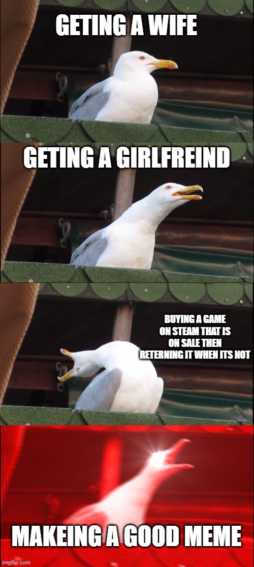 Inhaling Seagull Meme | GETING A WIFE; GETING A GIRLFREIND; BUYING A GAME ON STEAM THAT IS ON SALE THEN RETERNING IT WHEN ITS NOT; MAKEING A GOOD MEME | image tagged in memes,inhaling seagull | made w/ Imgflip meme maker
