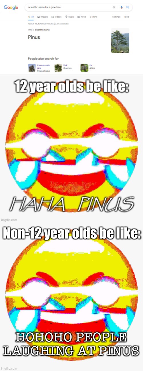 Non-12 year olds be like: HOHOHO PEOPLE LAUGHING AT PINUS | made w/ Imgflip meme maker