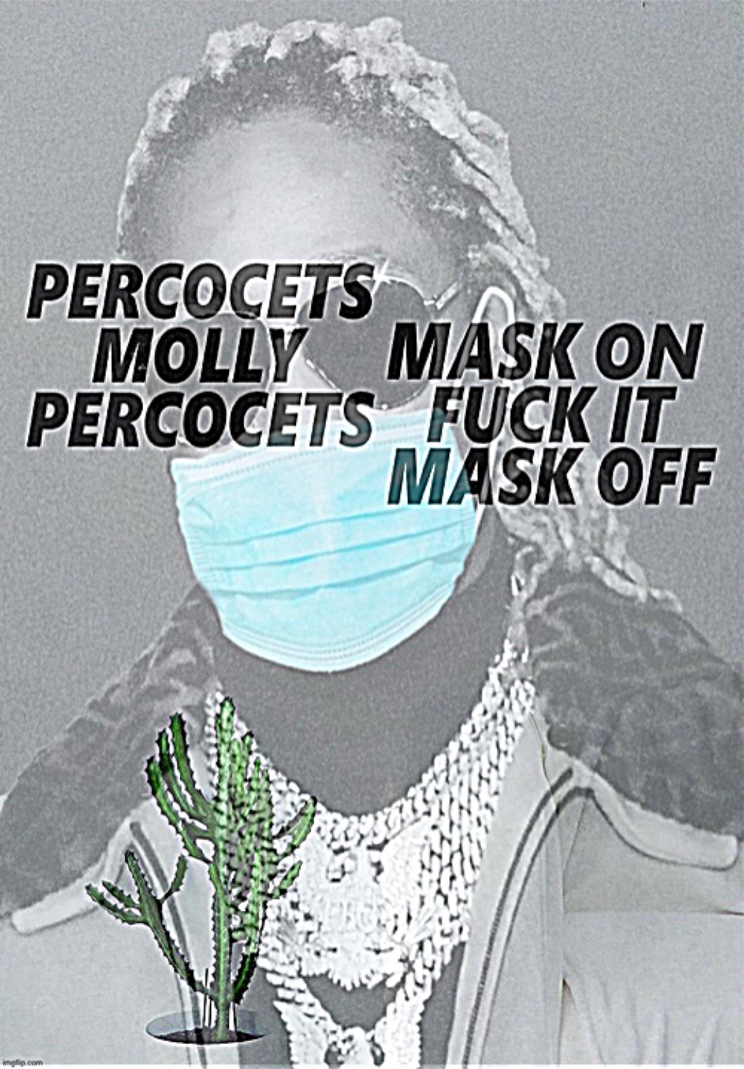 Why is there a potted cactus in this meme | image tagged in future percocets molly percocets mask off | made w/ Imgflip meme maker
