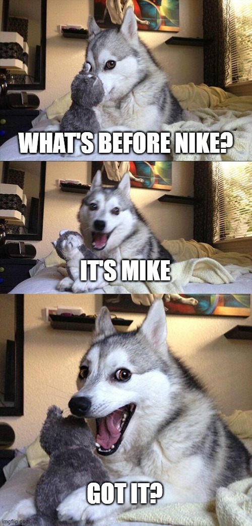 Bad Pun Dog Meme | WHAT'S BEFORE NIKE? IT'S MIKE; GOT IT? | image tagged in memes,bad pun dog,nike | made w/ Imgflip meme maker