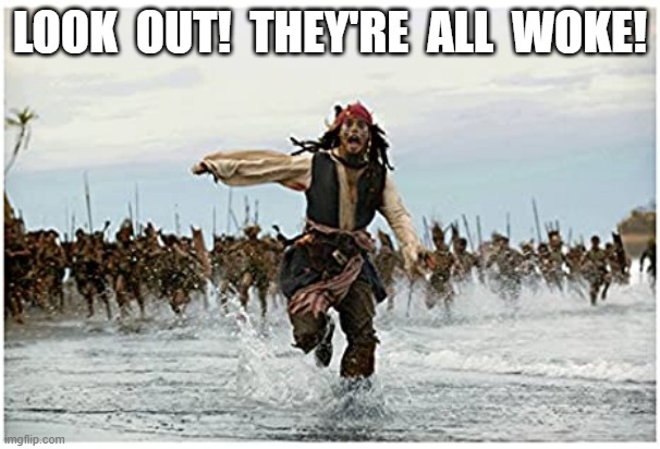 Woke! | LOOK  OUT!  THEY'RE  ALL  WOKE! | image tagged in jack sparrow being chased | made w/ Imgflip meme maker