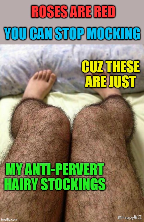 ROSES ARE RED; YOU CAN STOP MOCKING; CUZ THESE ARE JUST; MY ANTI-PERVERT HAIRY STOCKINGS | image tagged in anti-pervert hairy stocking,memes,poems,roses are red,funny,meme | made w/ Imgflip meme maker