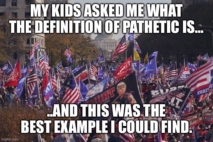 MAGA rally D.C. | MY KIDS ASKED ME WHAT THE DEFINITION OF PATHETIC IS…; ..AND THIS WAS THE BEST EXAMPLE I COULD FIND. | image tagged in maga rally d c | made w/ Imgflip meme maker