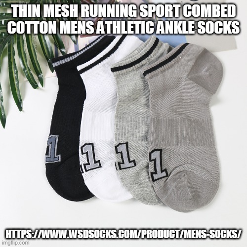 THIN MESH RUNNING SPORT COMBED COTTON MENS ATHLETIC ANKLE SOCKS; HTTPS://WWW.WSDSOCKS.COM/PRODUCT/MENS-SOCKS/ | made w/ Imgflip meme maker