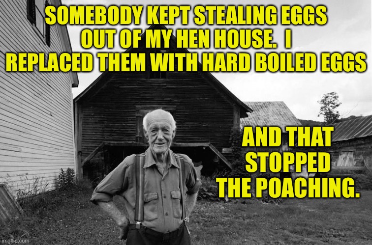 Eggs-act remedy! | SOMEBODY KEPT STEALING EGGS OUT OF MY HEN HOUSE.  I REPLACED THEM WITH HARD BOILED EGGS; AND THAT STOPPED THE POACHING. | image tagged in old farmer | made w/ Imgflip meme maker