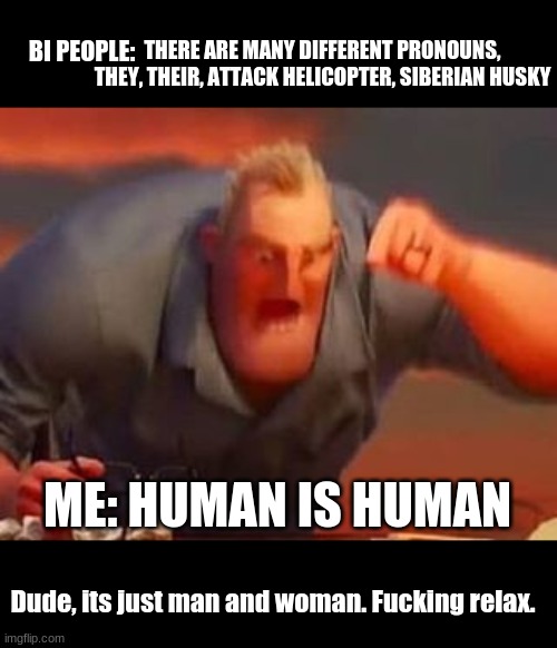 More (Fax) | THERE ARE MANY DIFFERENT PRONOUNS, THEY, THEIR, ATTACK HELICOPTER, SIBERIAN HUSKY; BI PEOPLE:; ME: HUMAN IS HUMAN; Dude, its just man and woman. Fucking relax. | image tagged in mr incredible mad | made w/ Imgflip meme maker