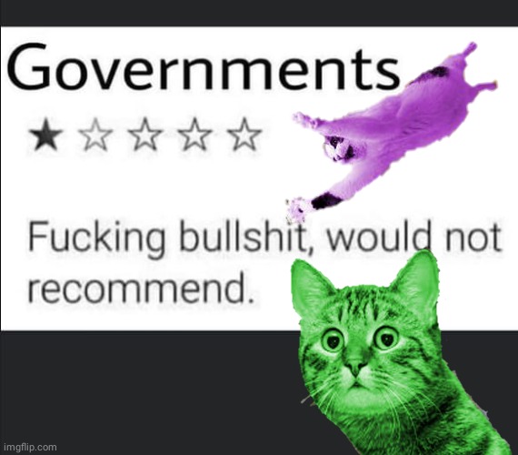 Big Government big bs | image tagged in cats | made w/ Imgflip meme maker