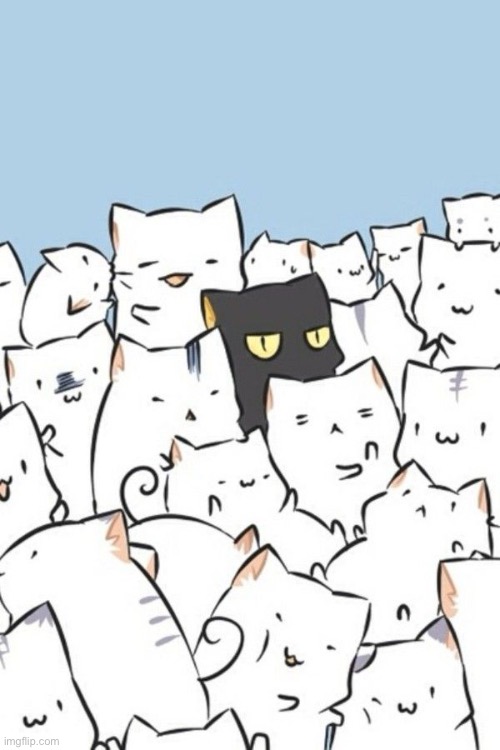 Black cat within the white cats Blank Meme Template