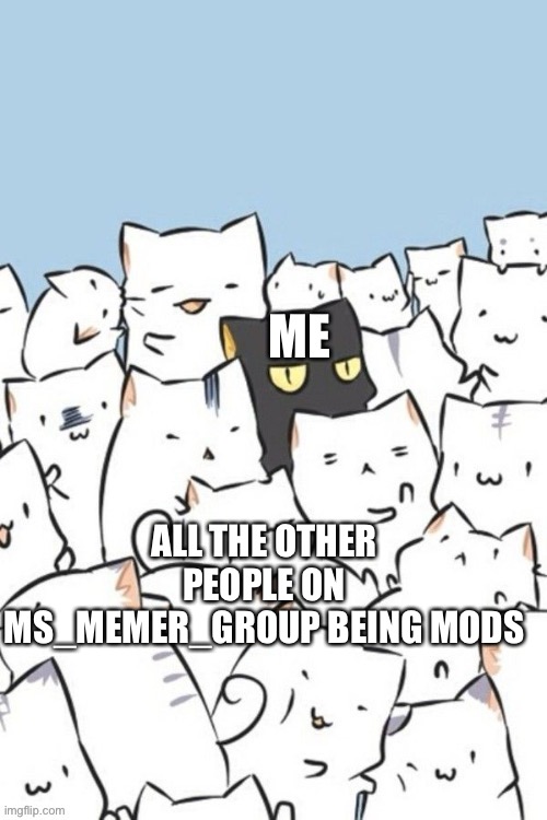 No I am not begging, comment section | ME; ALL THE OTHER PEOPLE ON MS_MEMER_GROUP BEING MODS | image tagged in black cat within the white cats,ms_memer_group,cats,imgflip mods | made w/ Imgflip meme maker