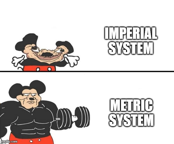 Micky Mouse | IMPERIAL SYSTEM METRIC SYSTEM | image tagged in micky mouse | made w/ Imgflip meme maker