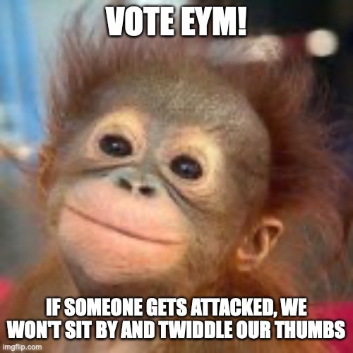 Not saying that people are sitting by and twiddling them | VOTE EYM! IF SOMEONE GETS ATTACKED, WE WON'T SIT BY AND TWIDDLE OUR THUMBS | image tagged in eym representative,eym,vote,ip | made w/ Imgflip meme maker